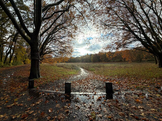 weitwinkelbild von der catcherwiese in den rehbergen, es hat geregnet, aber die sonne kämpft sich durch die wolken