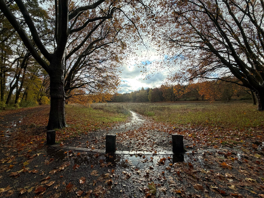 weitwinkelbild von der catcherwiese in den rehbergen, es hat geregnet, aber die sonne kämpft sich durch die wolken