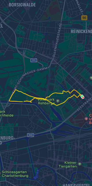 screenshot des „trinings“ heute früh (8 kilometer)