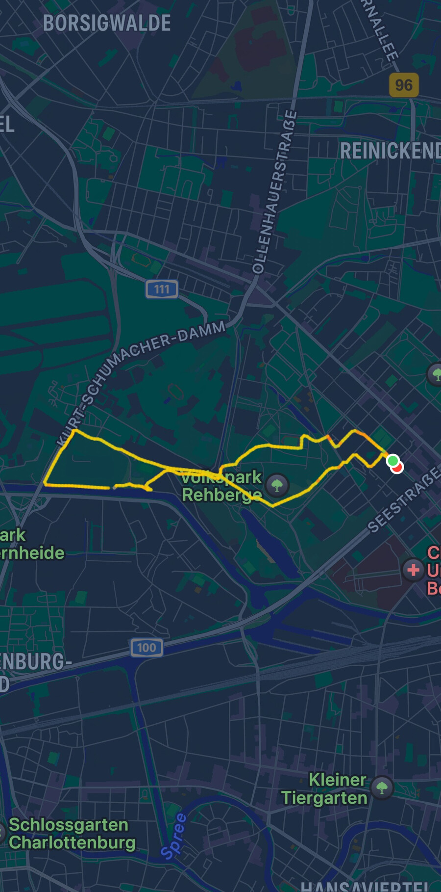 screenshot des „trinings“ heute früh (8 kilometer)