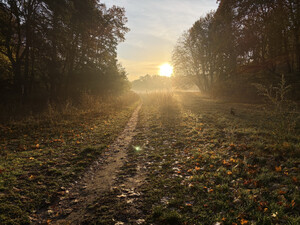 morgenspaziergang 31.10.2025