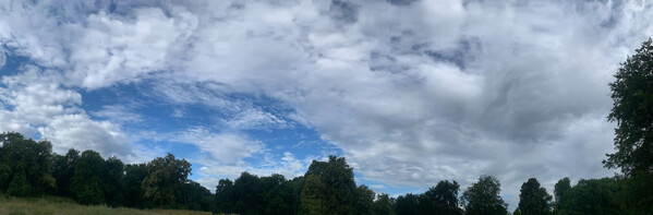 morgenspaziergang 6.7.2025