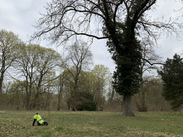 morgenspaziergang 8.4.2025