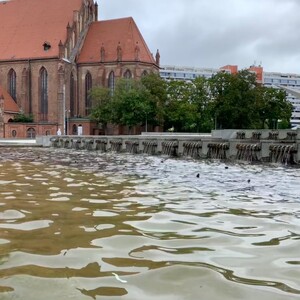 morgenspaziergang am 03.08.2025
