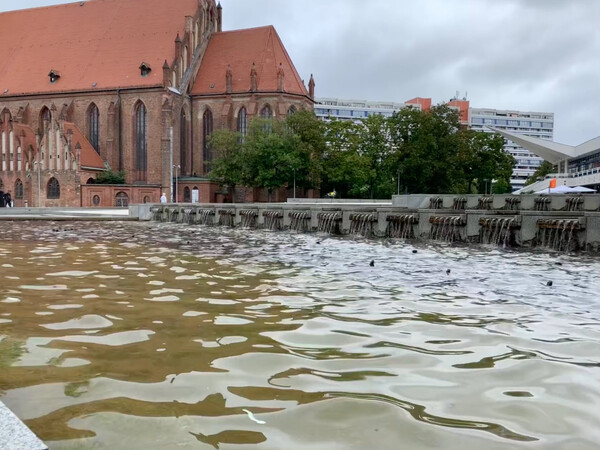 morgenspaziergang am 03.08.2025