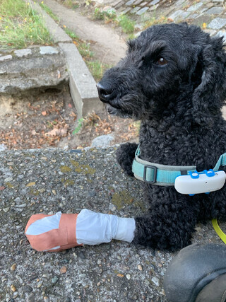 frida bei einer kurzen pause beim morgenspaziergang. sie trägt selbstgemachte gummistiefl aus einweghanschuhen und beobachtet interessiert zwei enten.