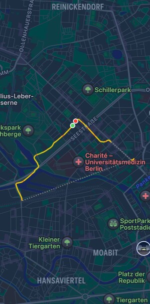 apple watch aufzeichnung unseres morgenspaziergangs