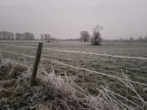 morgenspaziergang im gefrorenen karken