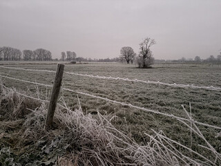 foto von weiss-flauschigem, gefrorenem raureif an einem stacheldrahtzaun