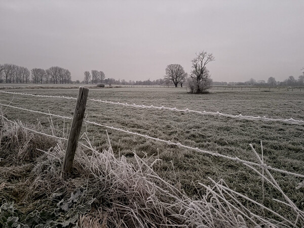 morgenspaziergang im gefrorenen karken