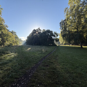 morgenspaziergang in sch&ouml;nem licht