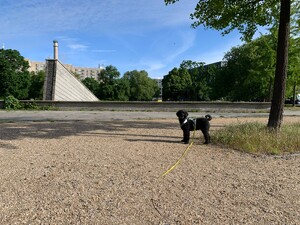 frida vor dem „mauerbrunnen“ im invalidenpark