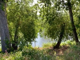 morgenspaziergang vom 14.6.2025