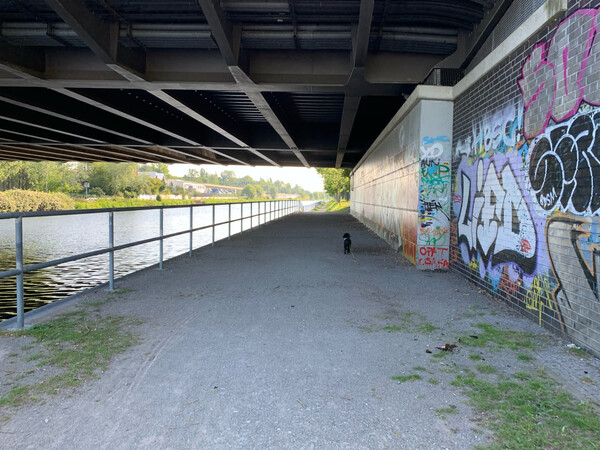 morgenspaziergang vom 14.6.2025