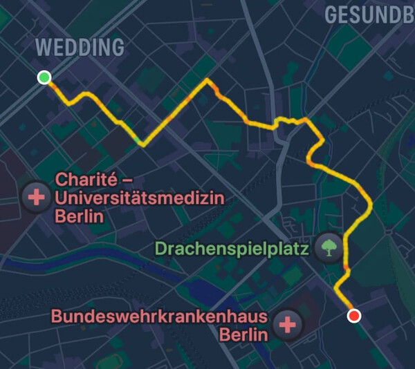 morgenspaziergang vom 19.6.2025