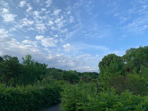 bild dass ich in der gartensiedlung in den rehbergen aufgenommen habe. es ist alles sehr grün, ausser dem himmel, der ist sehr dramatisch
