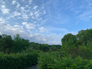bild dass ich in der gartensiedlung in den rehbergen aufgenommen habe. es ist alles sehr grün, ausser dem himmel, der ist sehr dramatisch