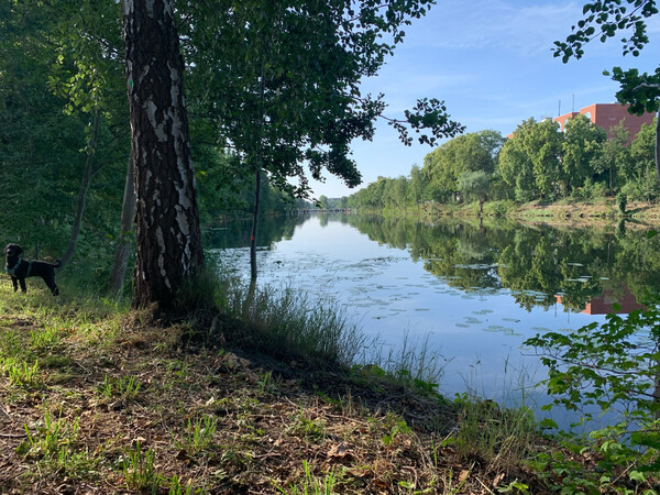 morgenspaziergang vom 22.6.2025