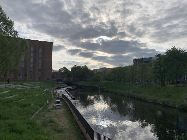 morgenspaziergang vom 30.4.2025