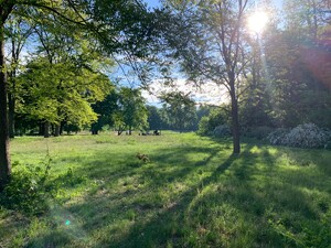 blick auf den volkspark rehberge