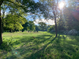blick auf den volkspark rehberge