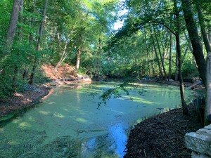 (umwäz?) pumpen im entenpfuhl/sperlingsee in den rehbergen
