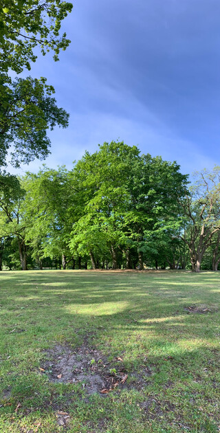 schillerpark