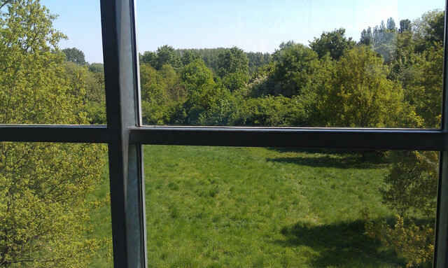 blick aus einem der gebäude auf der museumsinsel hombroich auf eine sehr grüne wiese