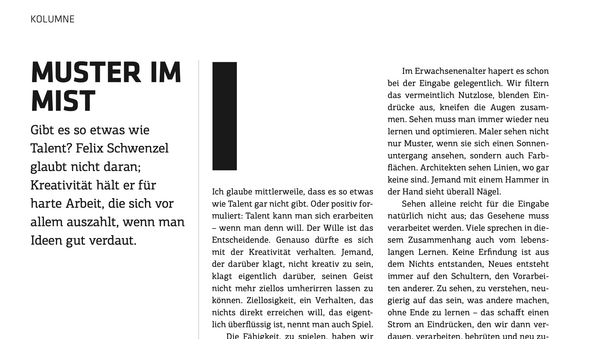 Muster im Mist (t3n 63)