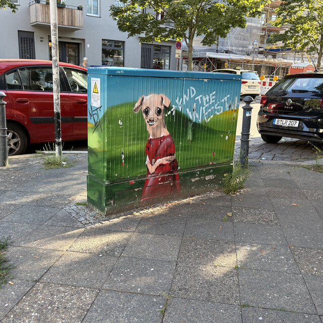 ein bemalter stormverteilerkaten. dadrauf ist ein chihuahua in einem toten kleid zu sehen, daneben der schriftzug „find the west“