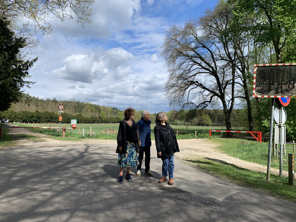nachmittagsspaziergang vom 18.4.2025