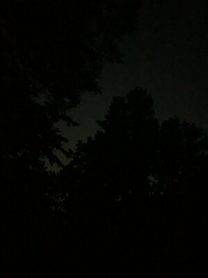bild vom dunklen himmel in den rehbergen. man erkennt ein paar baumwipfel und den himmel, der leicht leuchtet