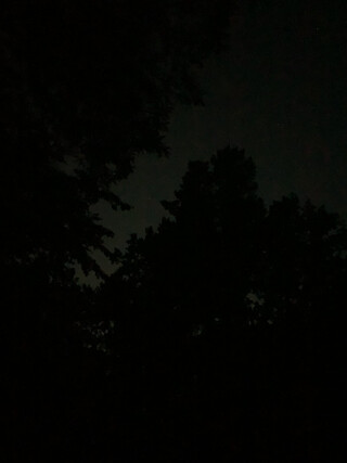 bild vom dunklen himmel in den rehbergen. man erkennt ein paar baumwipfel und den himmel, der leicht leuchtet