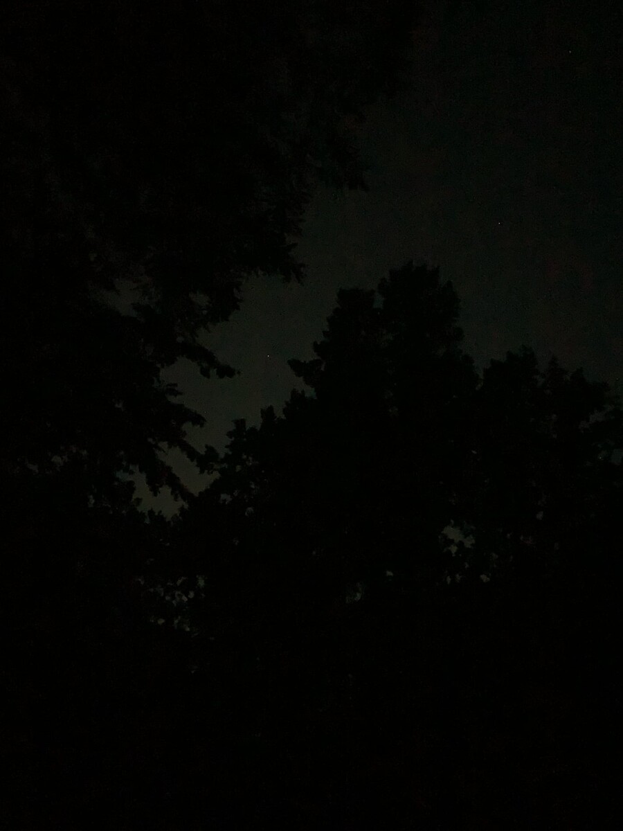 bild vom dunklen himmel in den rehbergen. man erkennt ein paar baumwipfel und den himmel, der leicht leuchtet