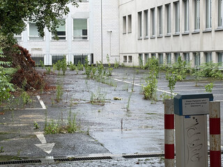 ein verlassener und seit jahren verschlossener parkplatz auf dem pflanzen aus dem asphalt spriessen.