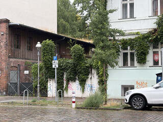 eine vom efeu überwucherte hausfassade im wedding.