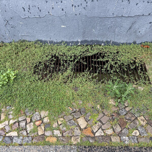 natur vs. stein & stahl