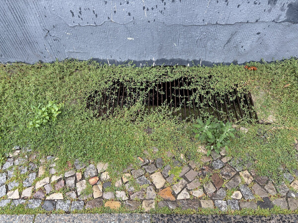 natur vs. stein & stahl