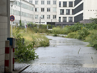 ein verlassener und seit jahren verschlossener parkplatz auf dem pflanzen aus dem asphalt spriessen.