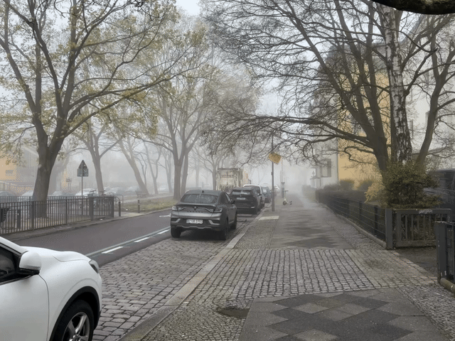 nebel