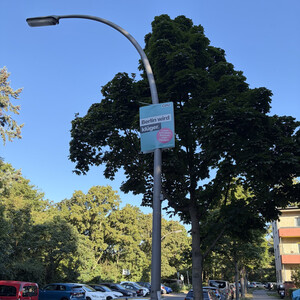 nicht klug