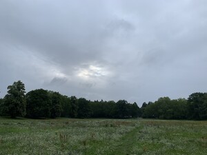 bild von der catcherwiese in den rehbergen, der himmel zeigt eine leichte sonnenöffnung.