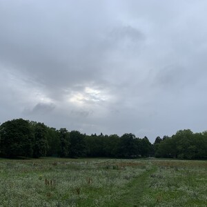 odorieren und desodorieren