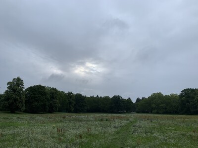bild von der catcherwiese in den rehbergen, der himmel zeigt eine leichte sonnenöffnung.