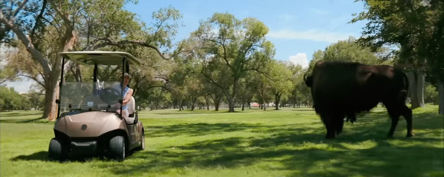 screenshot aus pluribus s01e07 der carol in einem golfcart zeigt, wie sie an einem büffel vorbeifährt