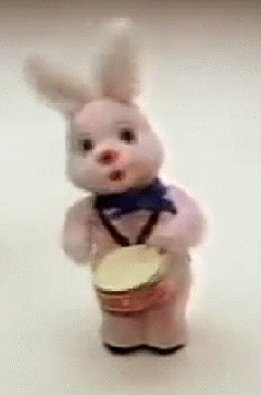 duracell hase