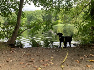bidl von frida wie sie am schlachtensee das ufer inspiziert