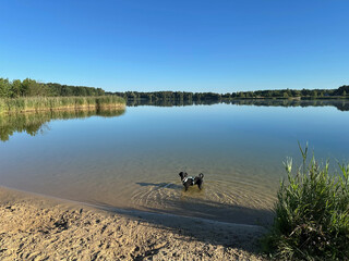 foto von frida im bernsteinsee