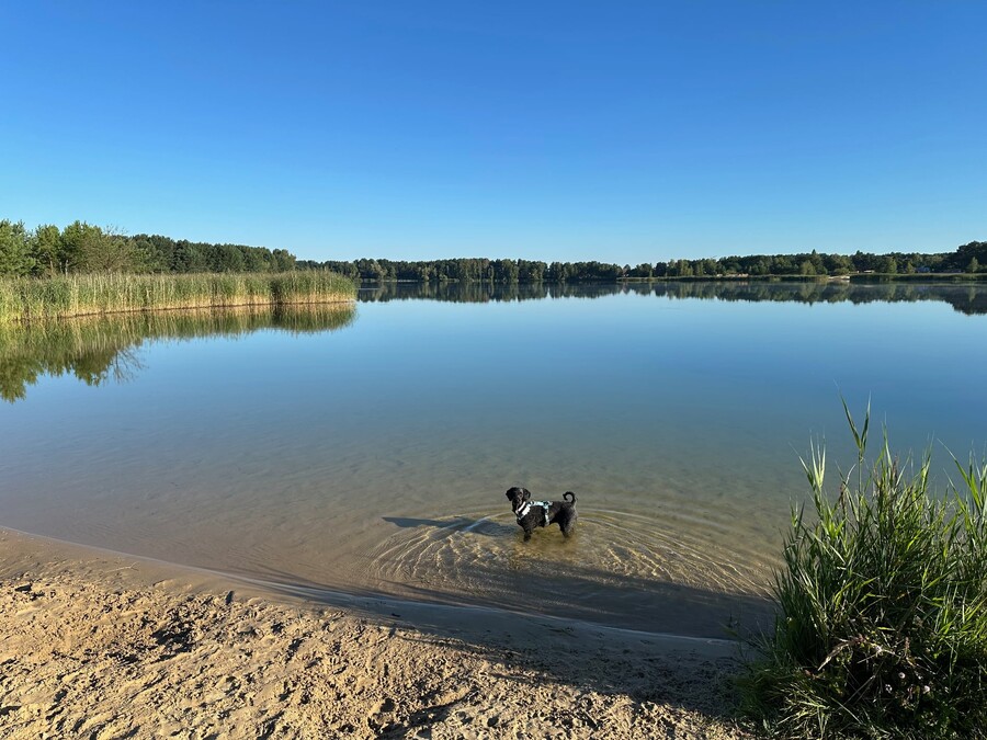foto von frida im bernsteinsee