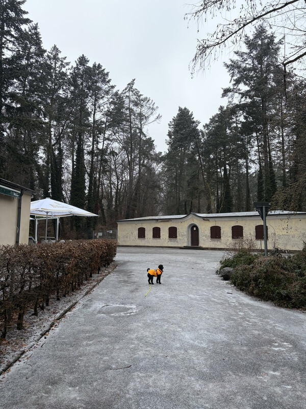 sichtachsen
